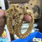 Gold Plated Peacock Rajwadi Kangan